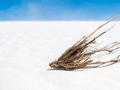 White Sands National Park 