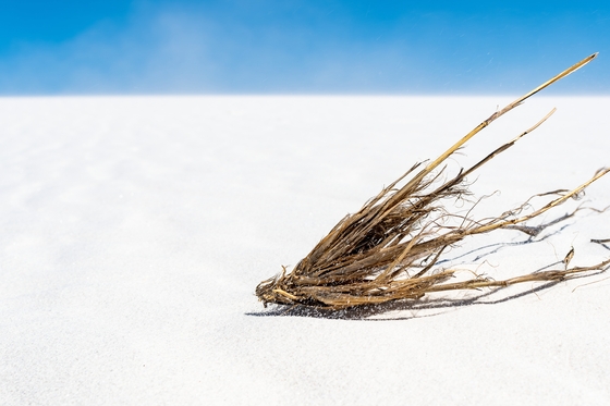 White Sands National Park 