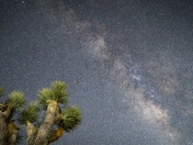 Joshua Tree National Park