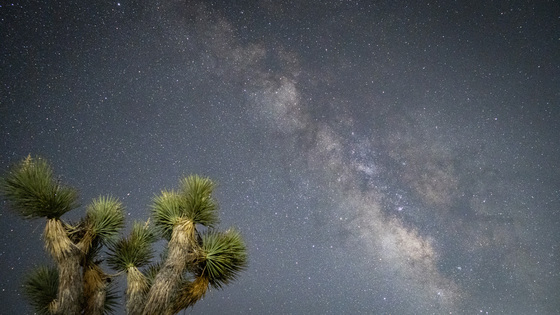 Joshua Tree National Park