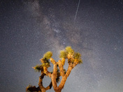 Joshua Tree National Park