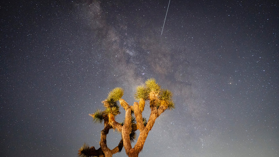 Joshua Tree National Park