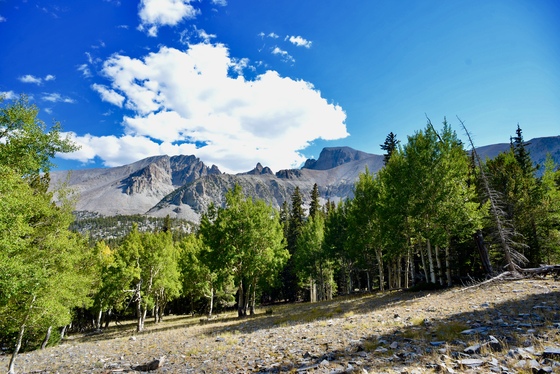 Great Basin National Park 