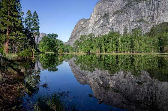 Yosemite National Park