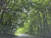 Cuyahoga Valley National Park