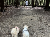 Cuyahoga Valley National Park 