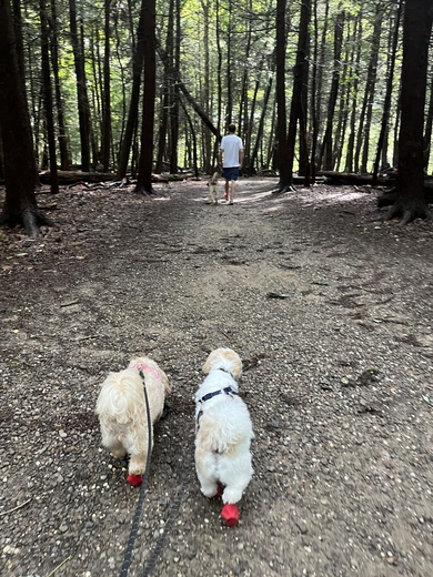 Cuyahoga Valley National Park 