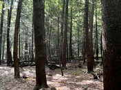 Cuyahoga Valley National Park 