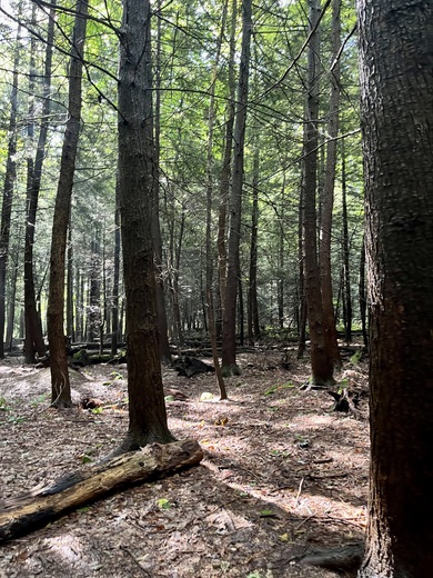 Cuyahoga Valley National Park 