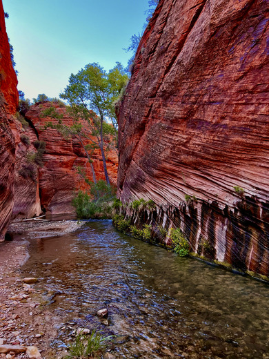 Parunuweap Wilderness