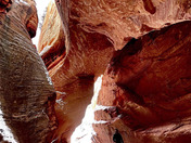 Merwin Arch 