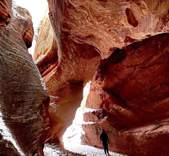 Merwin Arch 