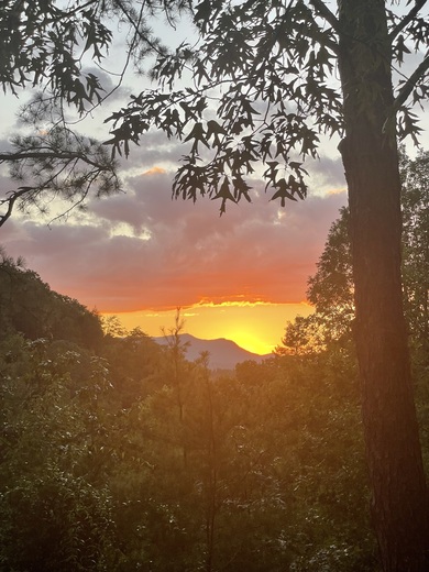 Great Smoky Mountains 