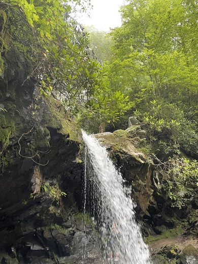 Great Smoky Mountains 