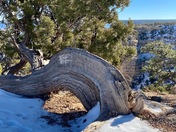 Grand Canyon National Park