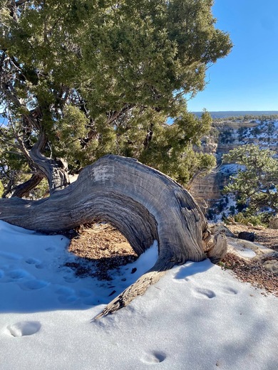 Grand Canyon National Park