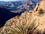 Grand Canyon National Park
