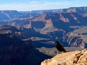 Grand Canyon National Park