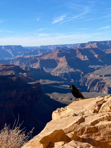 Grand Canyon National Park