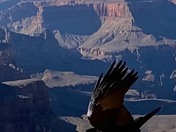 Grand Canyon National Park