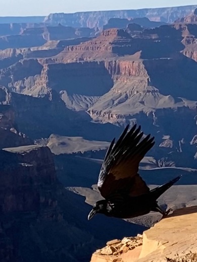 Grand Canyon National Park