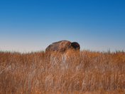 Wichita Mountains