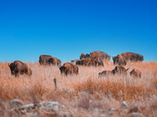 Wichita Mountains