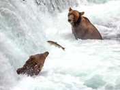 Katmai National Park