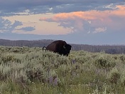 Yellowstone National Park