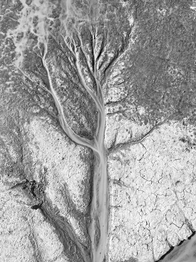 Bisti De Na Zin Wilderness