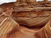 The Wave