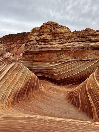 The Wave
