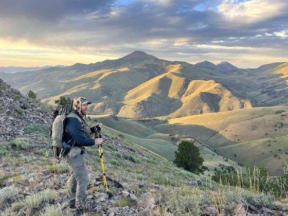 Humboldt-Toiyabe National Forest