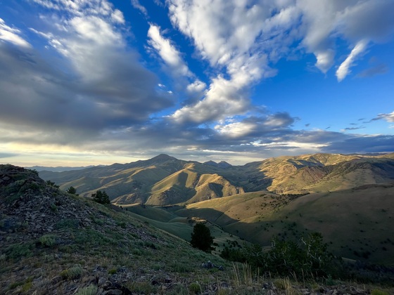Toiyabe Crest Trail
