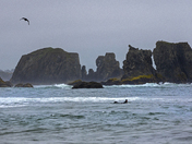 Coquille Point National Wildlife Refuge