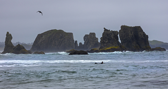 Coquille Point National Wildlife Refuge