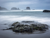 Oregon Island National Wildlife Refuge