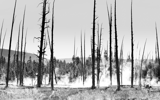 Yellowstone National Park
