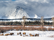 Grand Teton National Park