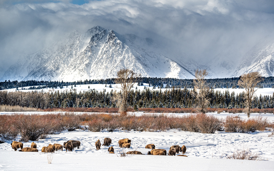 Grand Teton National Park