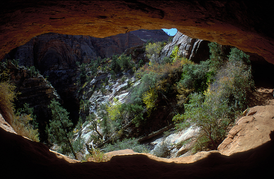 Zion National Park