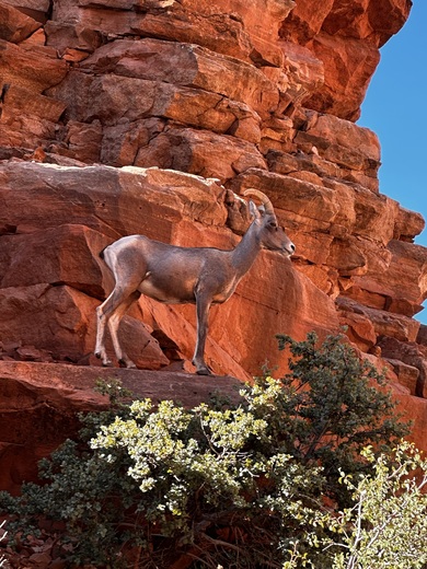 Zion National Park
