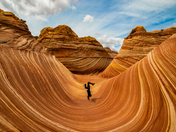 The Wave