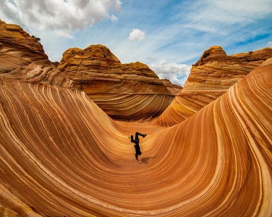 The Wave