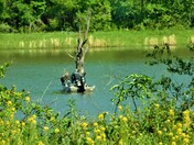 Mingo National Wildlife Refuge, Missouri