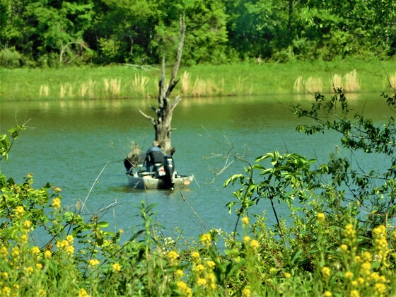 Mingo National Wildlife Refuge, Missouri