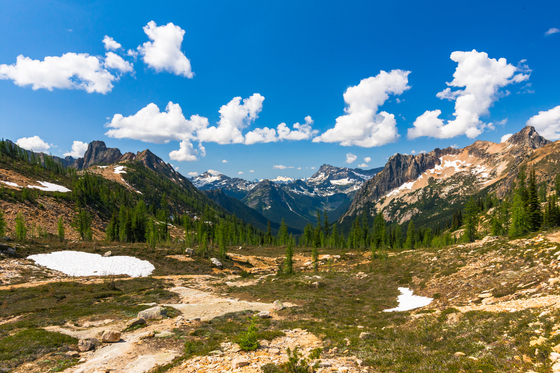 Okanogan-Wenatchee National Forest