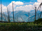 Okanogan-Wenatchee National Forest