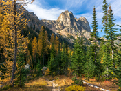 Okanogan-Wenatchee National Forest