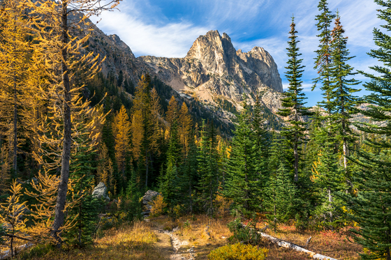 Okanogan-Wenatchee National Forest